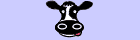 graphic image: a mad cow