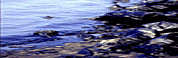 photograph image of a polluted coastline