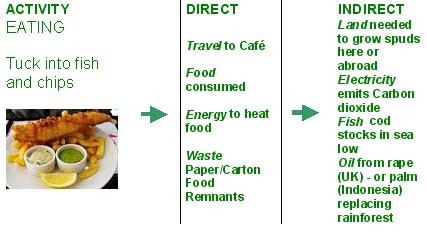 Direct and indirect Impacts