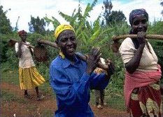 image: kenyan crop workers