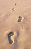 image: footprint in sand